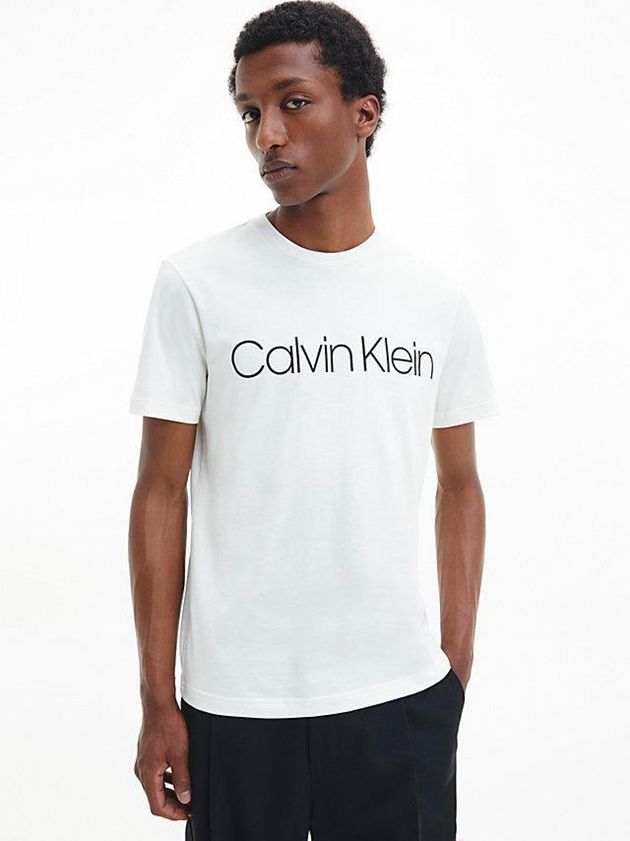 Calvin Klein USA Organic Cotton Logo Mens T-Shirt White 2890365-YH